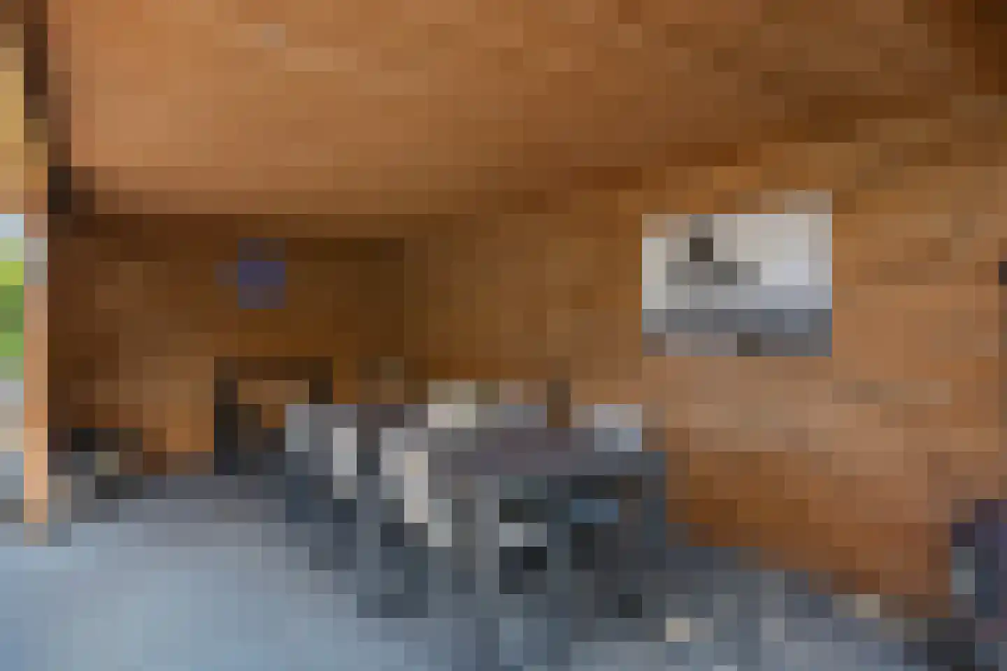 van Bothniaplantsoen 1 Coevorden thumbnail 24