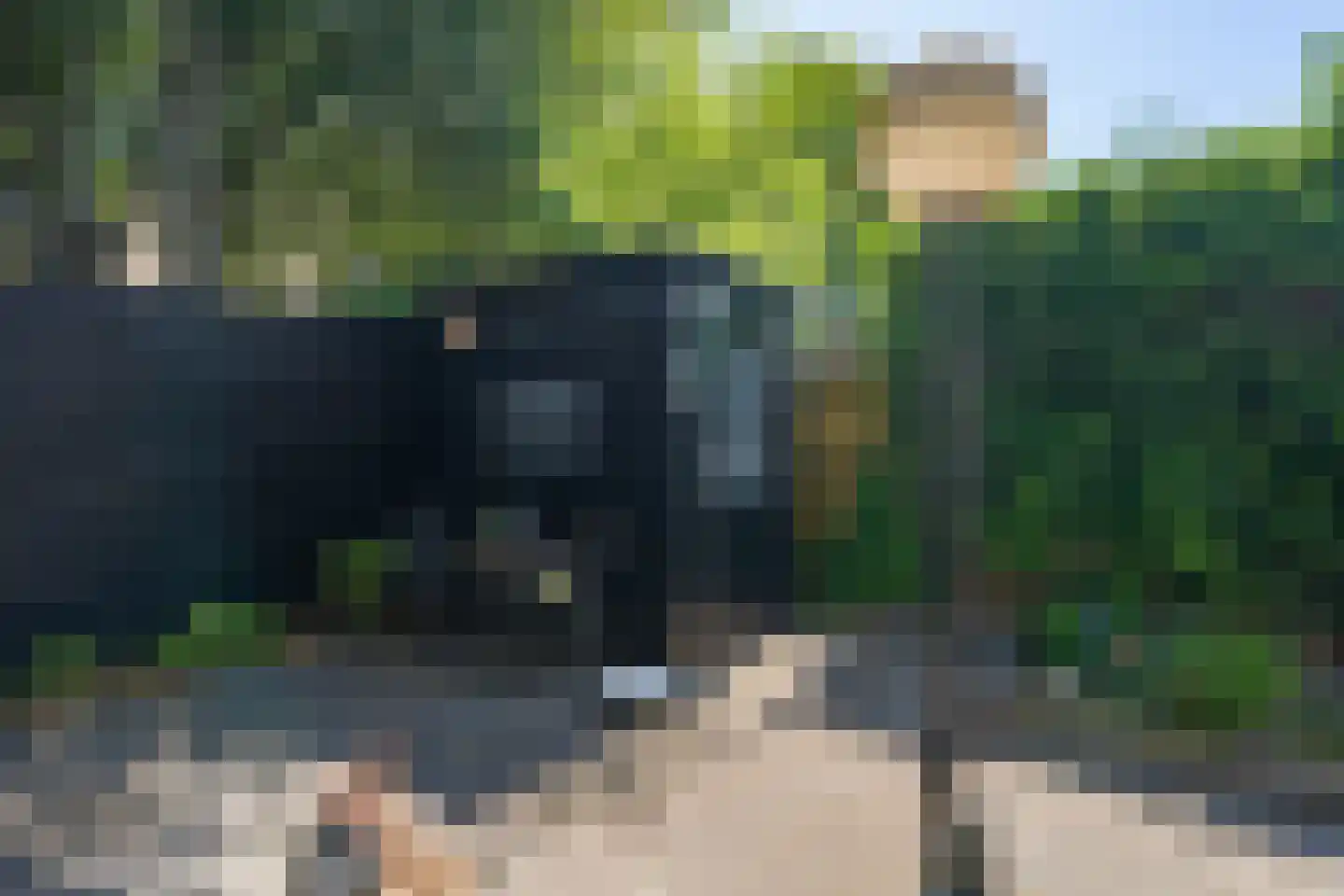 van Bothniaplantsoen 1 Coevorden thumbnail 25