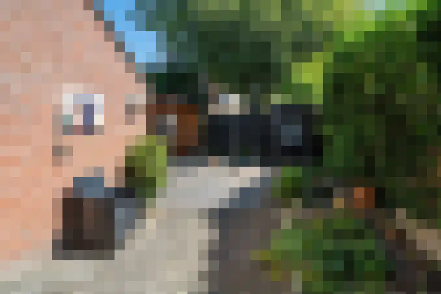 van Bothniaplantsoen 1 Coevorden thumbnail 26