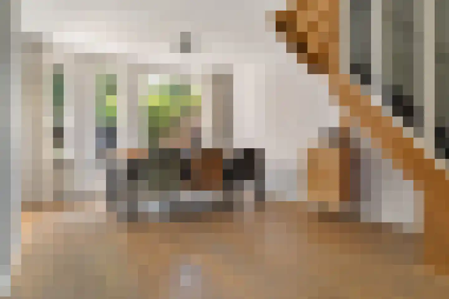van Bothniaplantsoen 1 Coevorden thumbnail 4