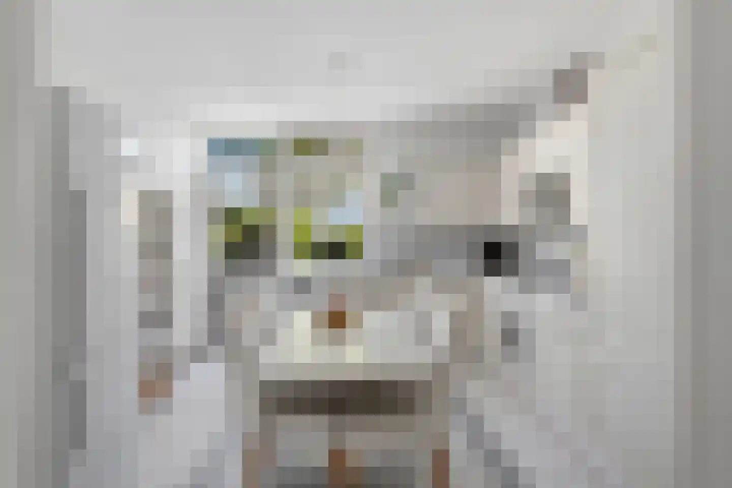 van Bourgondiëlaan 17 Veere thumbnail 16