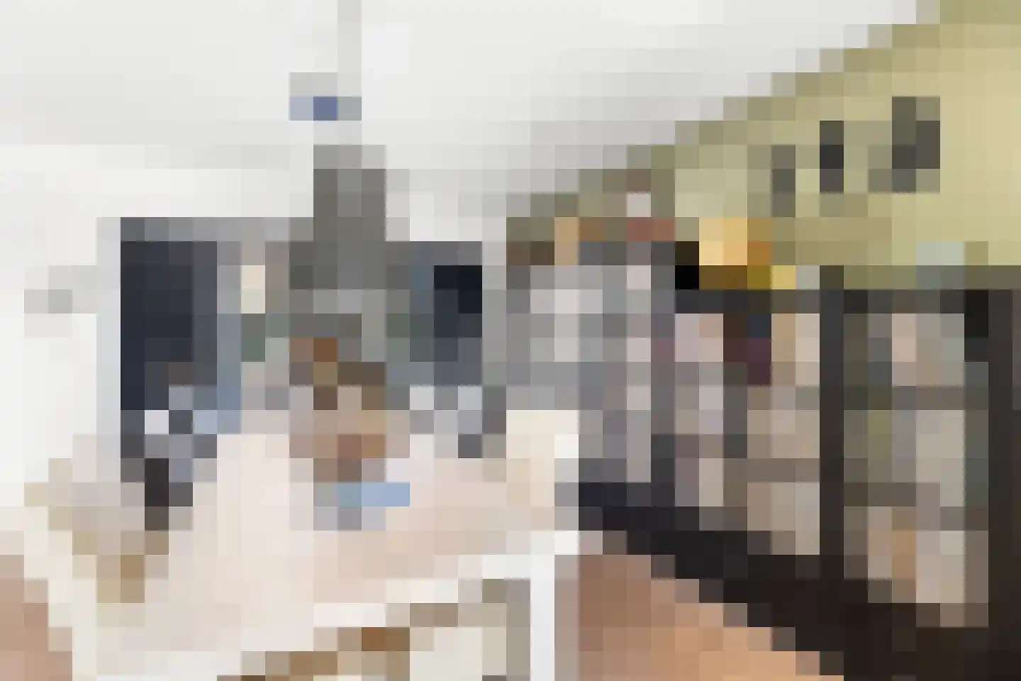 van Bourgondiëlaan 24 Veere thumbnail 17