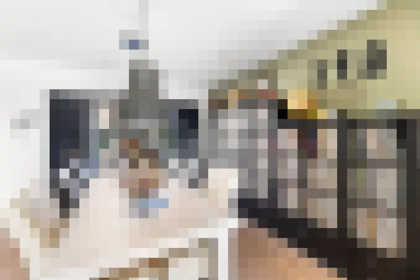 van Bourgondiëlaan 24 Veere thumbnail 17