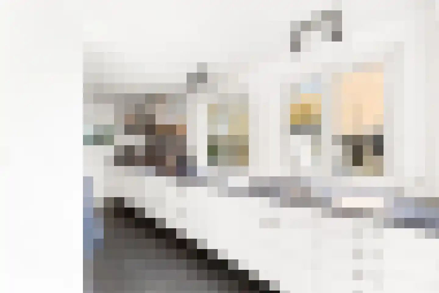 van Bourgondiëlaan 24 Veere thumbnail 21
