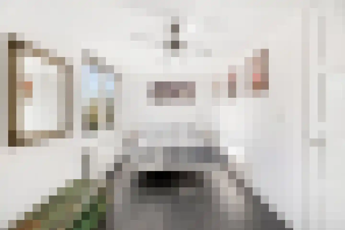 van Bourgondiëlaan 24 Veere thumbnail 26