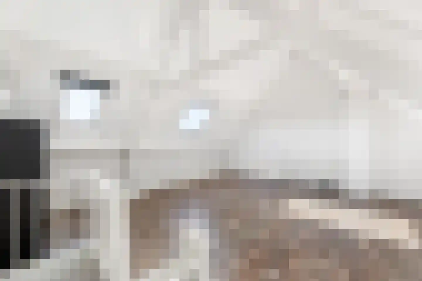 van Bourgondiëlaan 24 Veere thumbnail 34