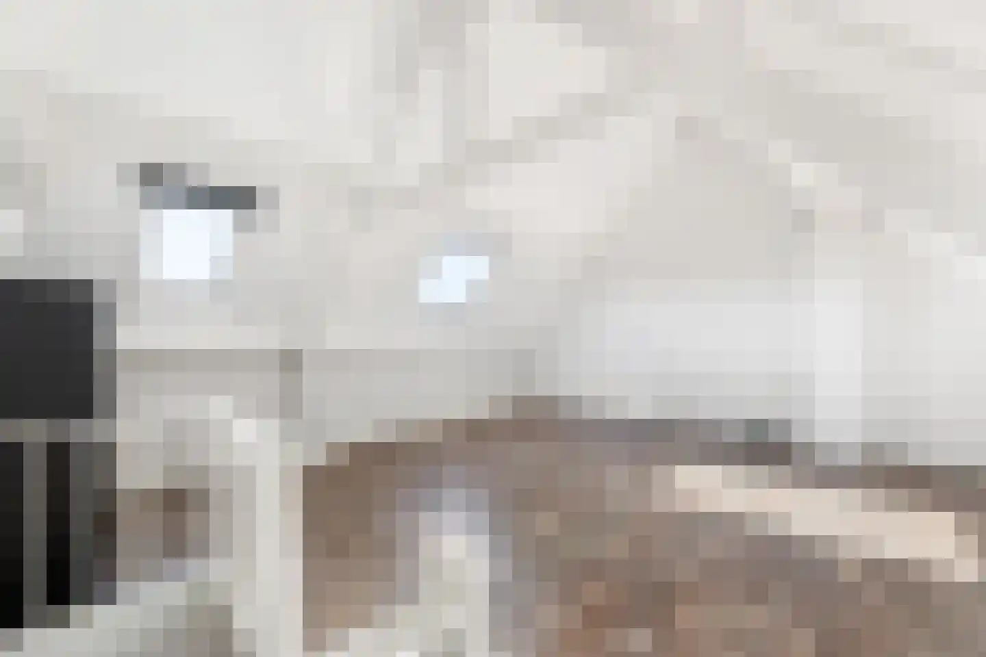 van Bourgondiëlaan 24 Veere thumbnail 34