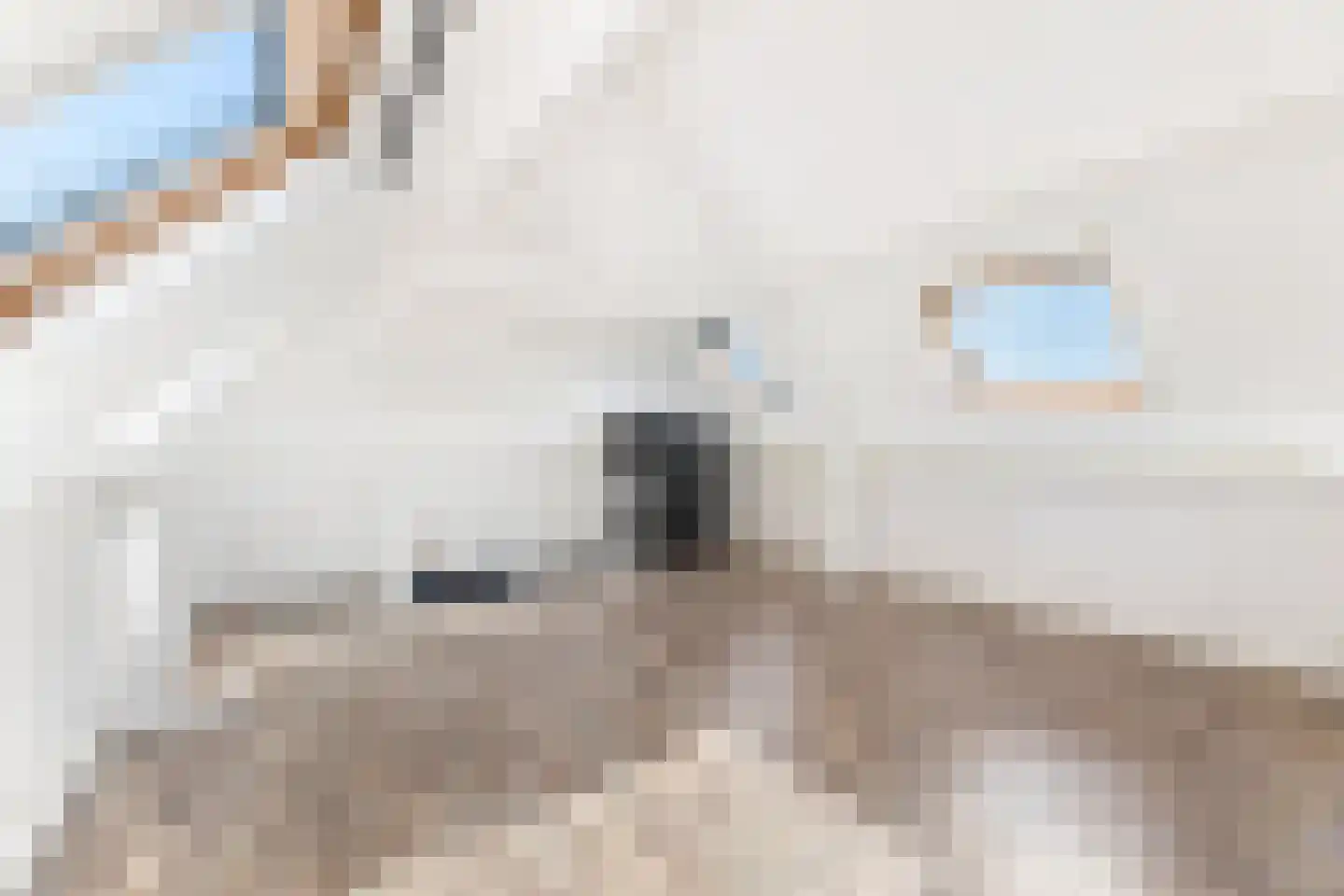 van Bourgondiëlaan 24 Veere thumbnail 35