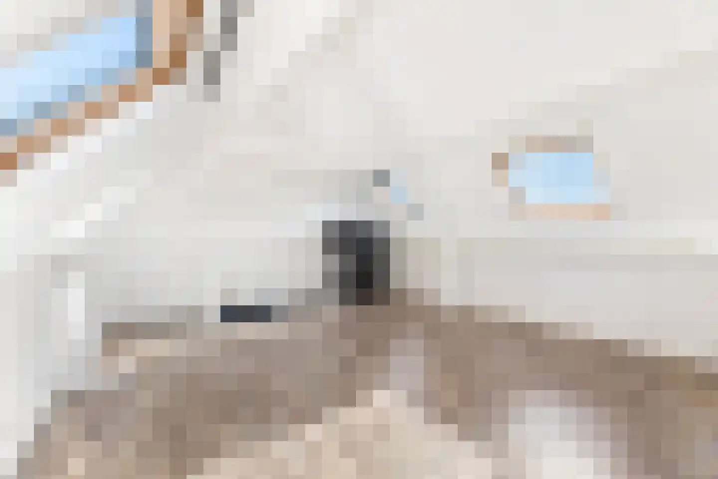 van Bourgondiëlaan 24 Veere thumbnail 35