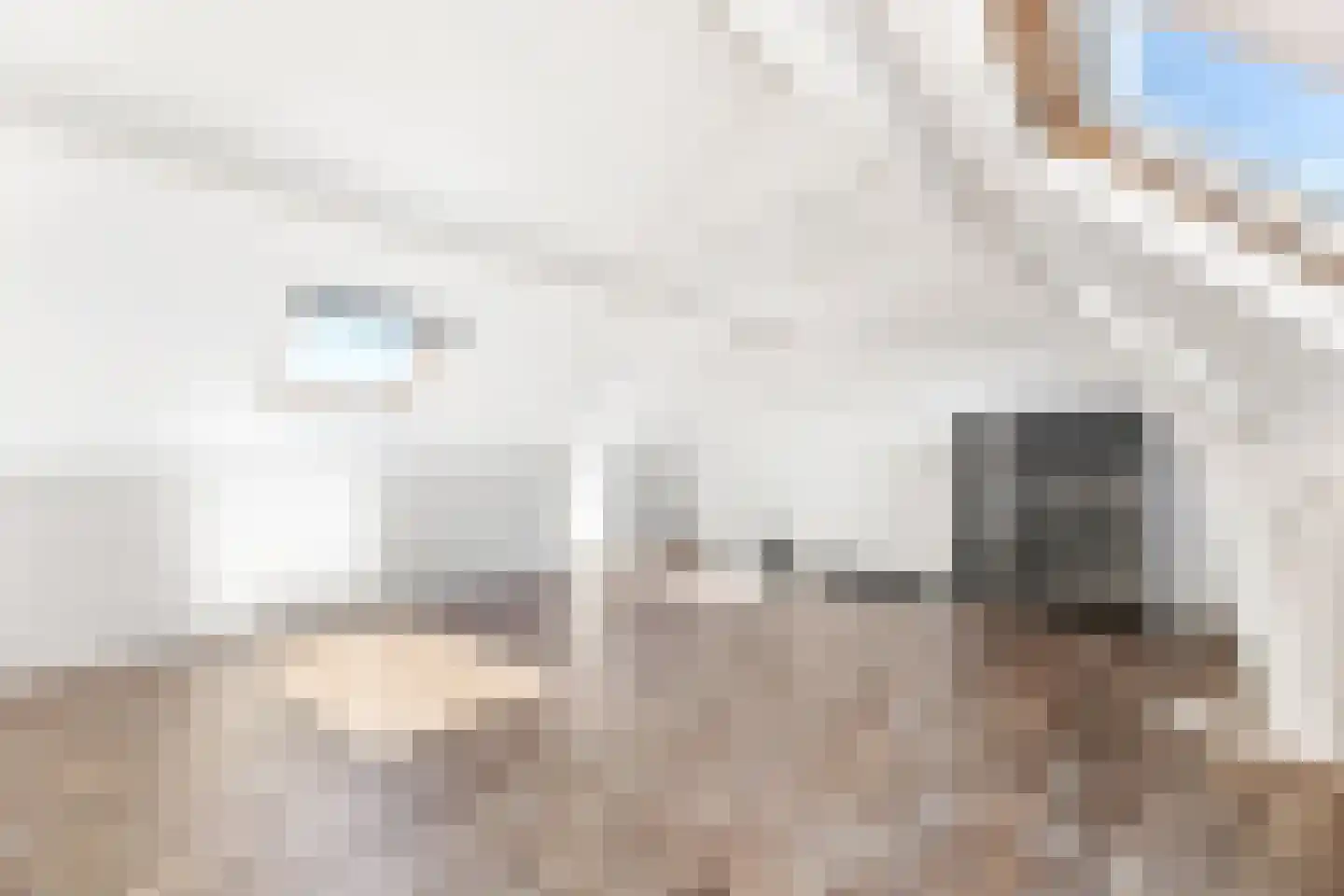 van Bourgondiëlaan 24 Veere thumbnail 36