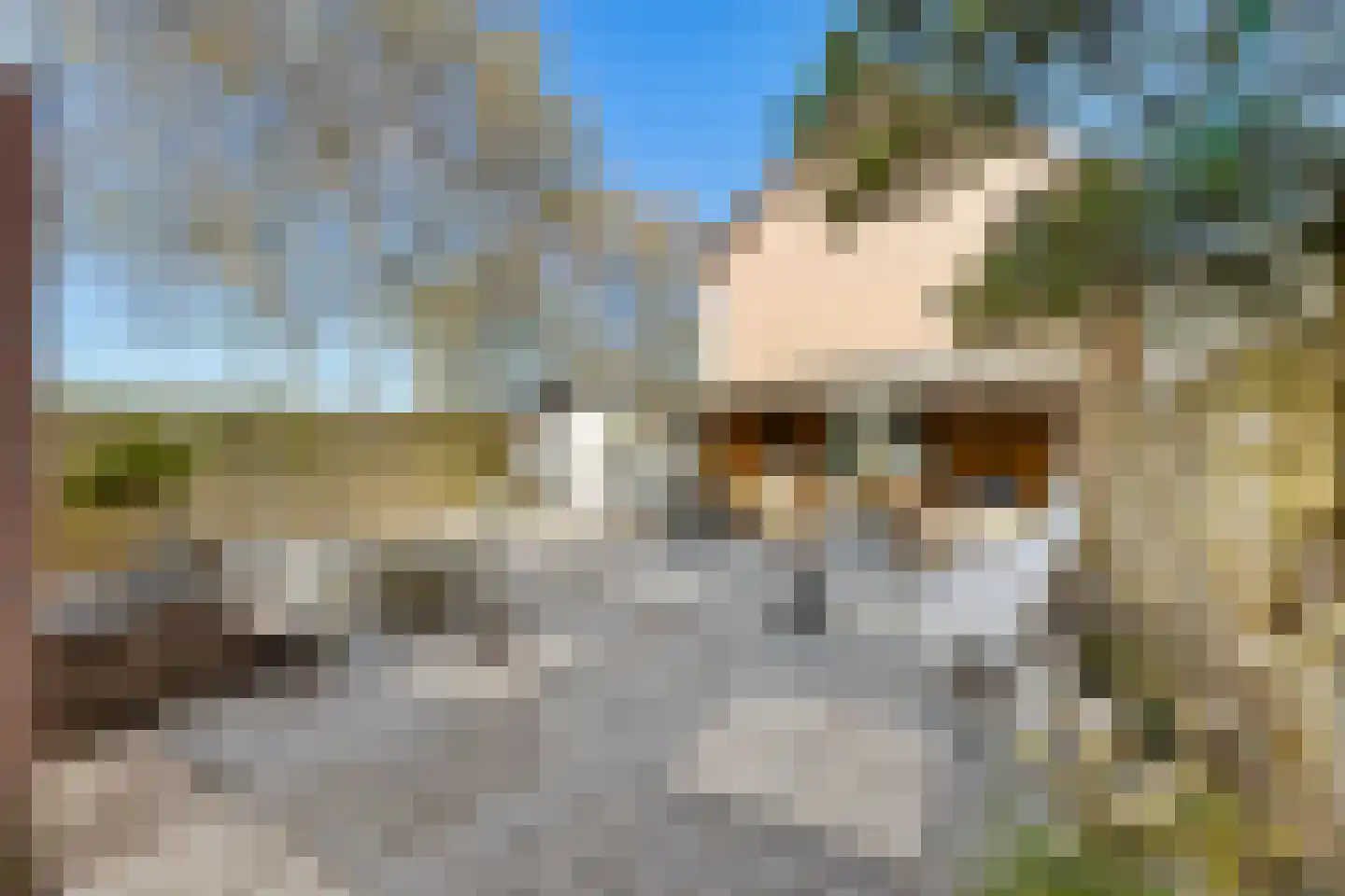 van Bourgondiëlaan 24 Veere thumbnail 5