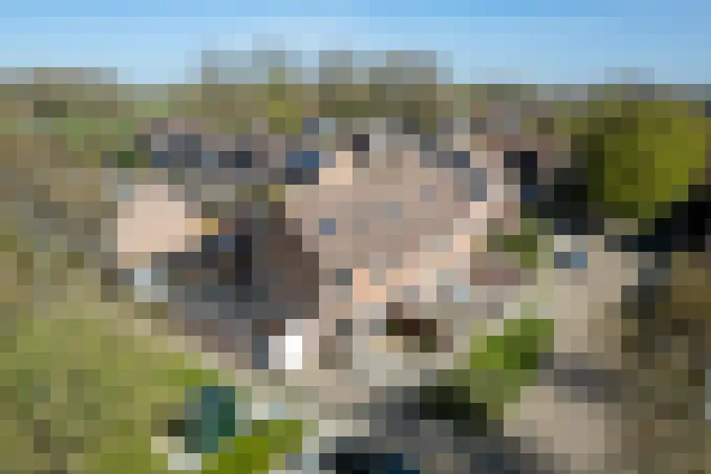 van Bourgondiëlaan 24 Veere thumbnail 9