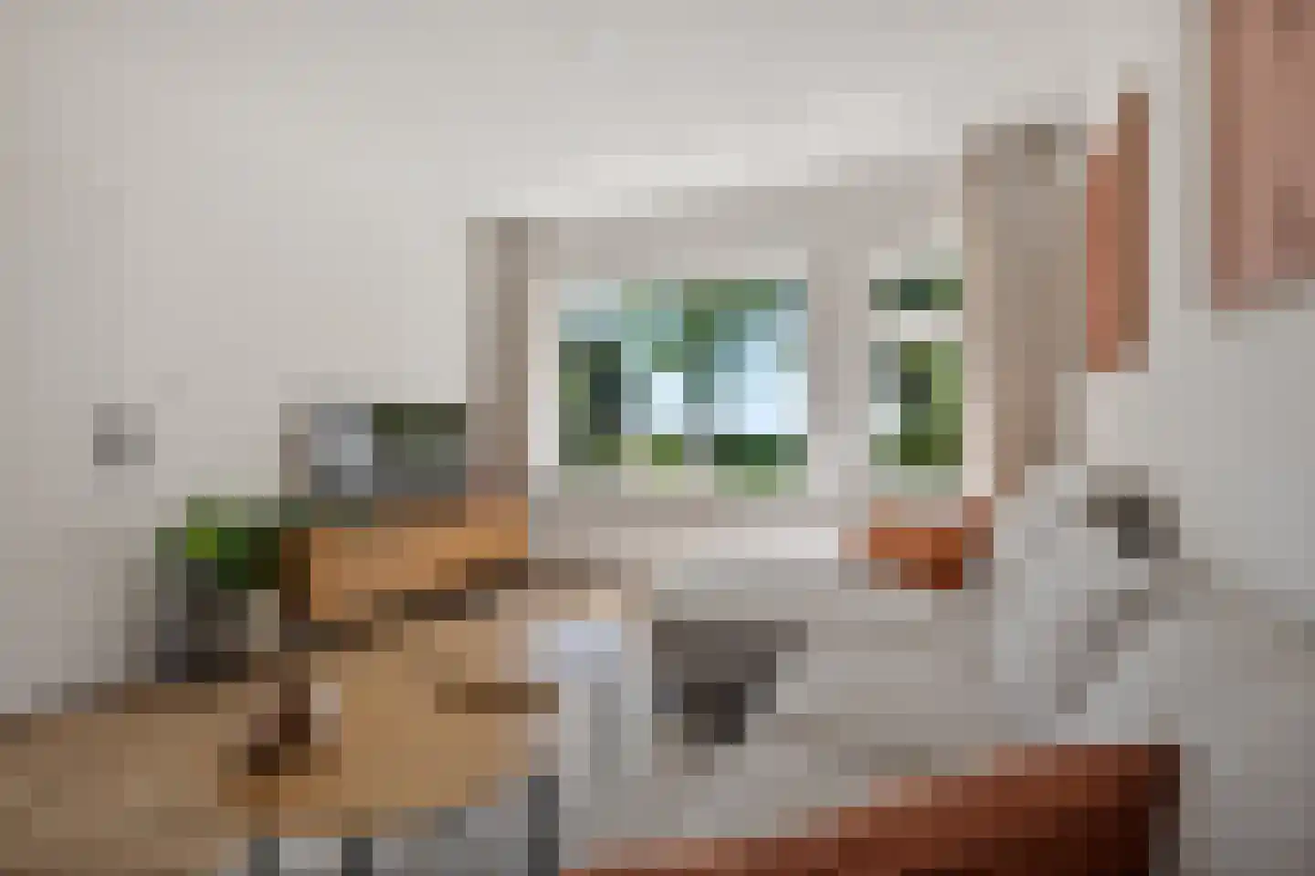 van Bourgondiëlaan 28 Veere thumbnail 25