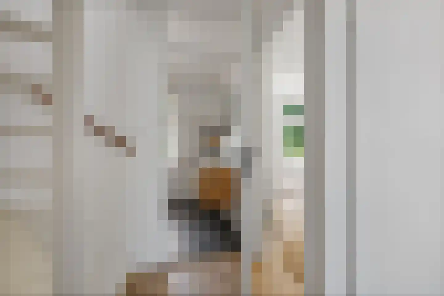 van Bourgondiëlaan 28 Veere thumbnail 33