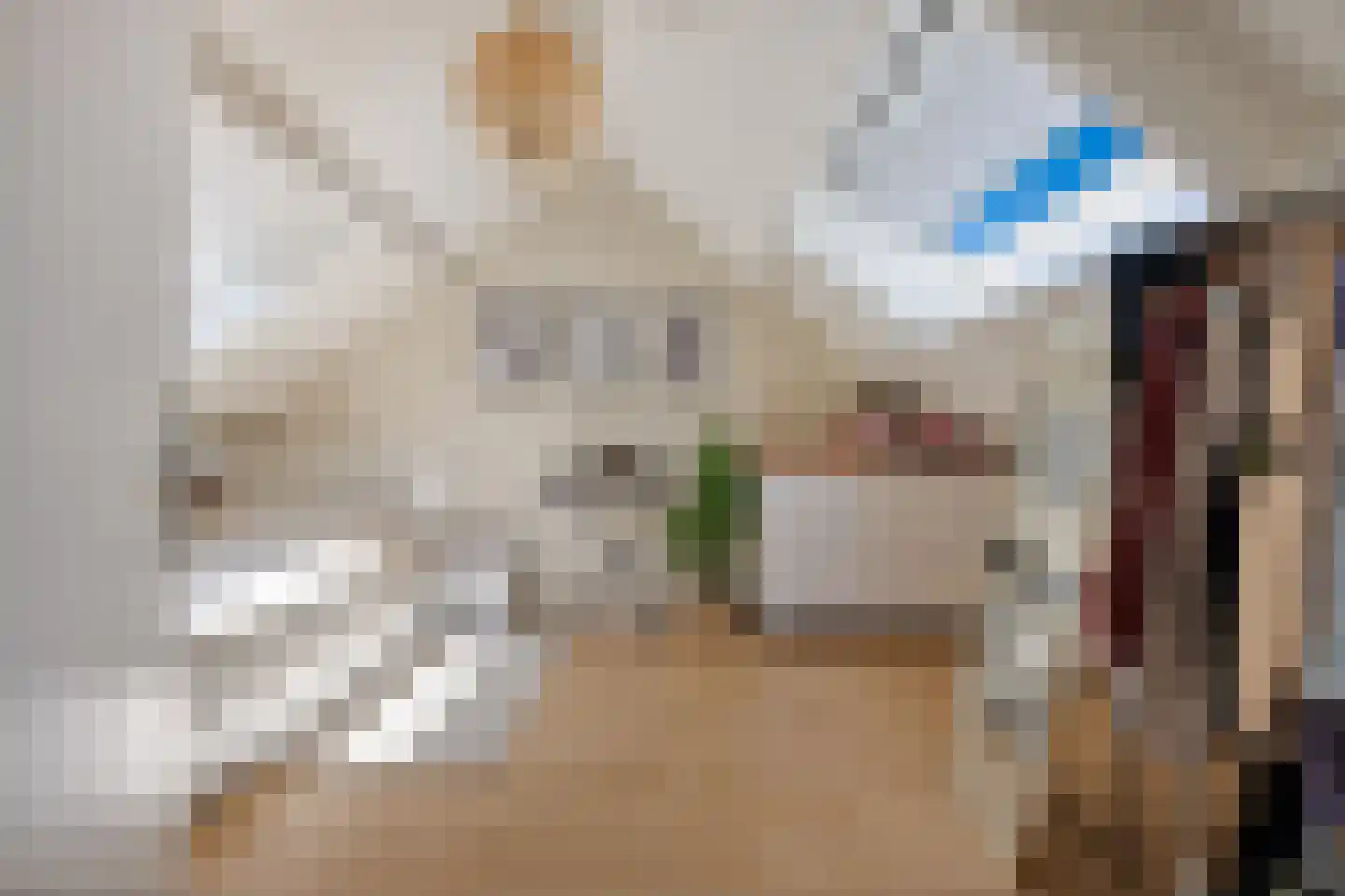 van Bourgondiëlaan 28 Veere thumbnail 46
