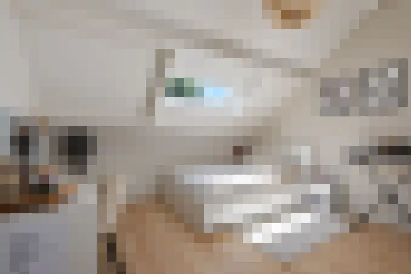 van Bourgondiëlaan 28 Veere thumbnail 47