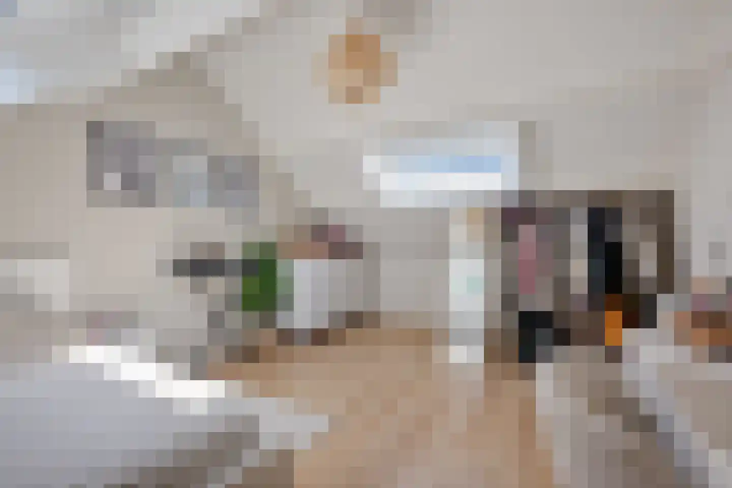 van Bourgondiëlaan 28 Veere thumbnail 48