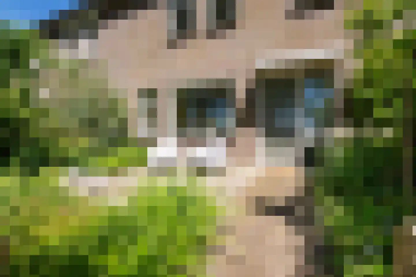 van Bourgondiëlaan 28 Veere thumbnail 5