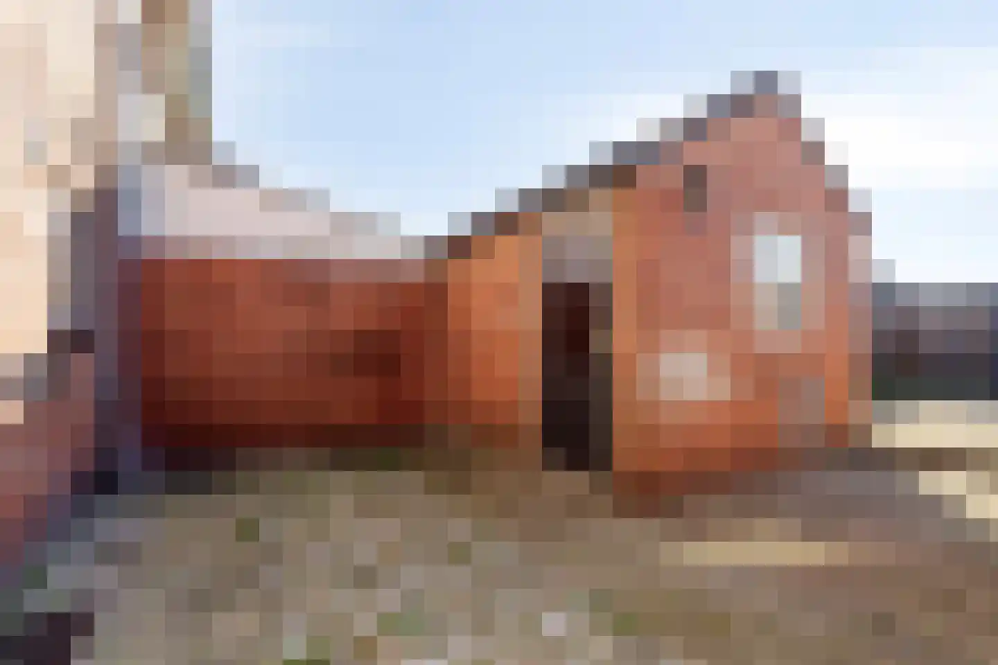 Van Boutershemstraat 28 Steenbergen thumbnail 26