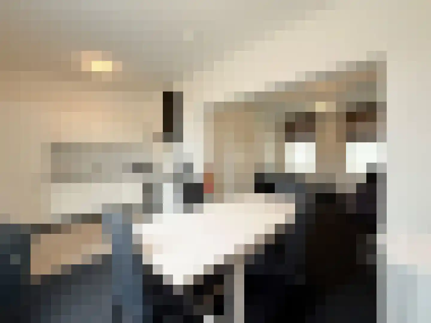 van Bovenstraat 11 Terneuzen thumbnail 8