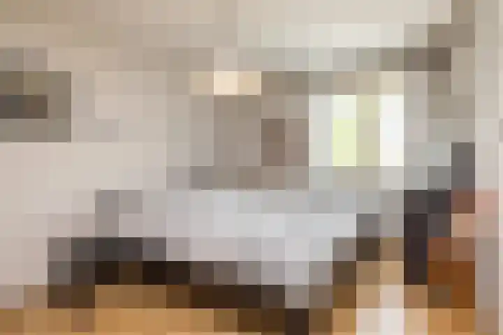 van Brabantlaan 4 Valkenburg thumbnail 20