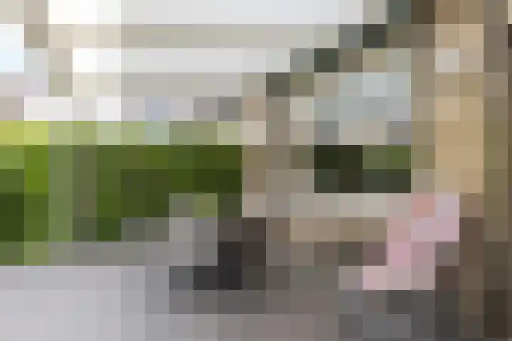 van Brabantlaan 4 Valkenburg thumbnail 29