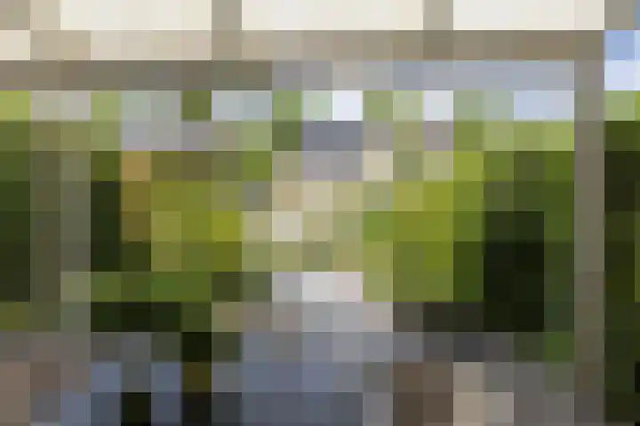 van Brabantlaan 4 Valkenburg thumbnail 31