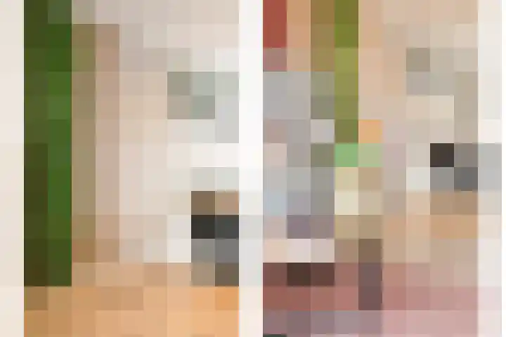 Van Brabantstraat 12 Steenbergen thumbnail 10