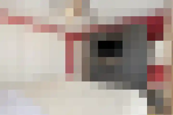 Van Brabantstraat 12 Steenbergen thumbnail 22