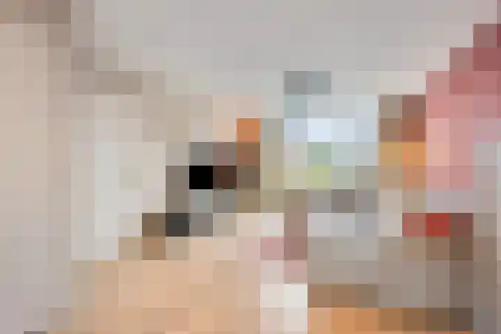 Van Brabantstraat 12 Steenbergen thumbnail 7