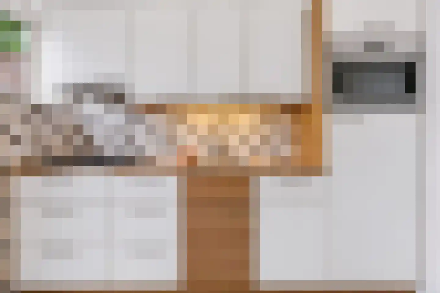 Van Brabantstraat 13 Steenbergen thumbnail 4