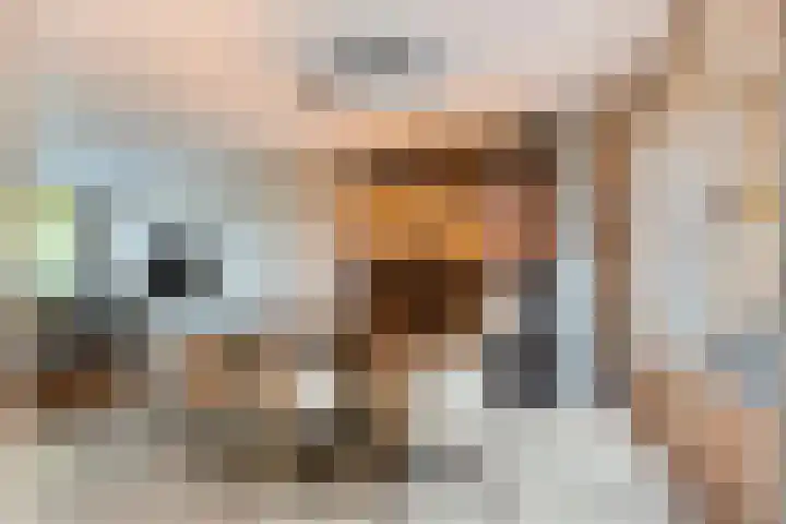 Van Brabantstraat 18 Steenbergen thumbnail 11