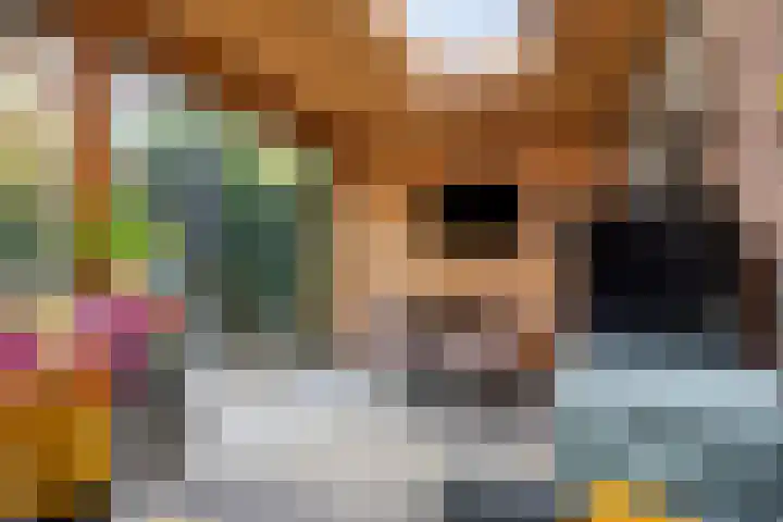 Van Brabantstraat 18 Steenbergen thumbnail 18