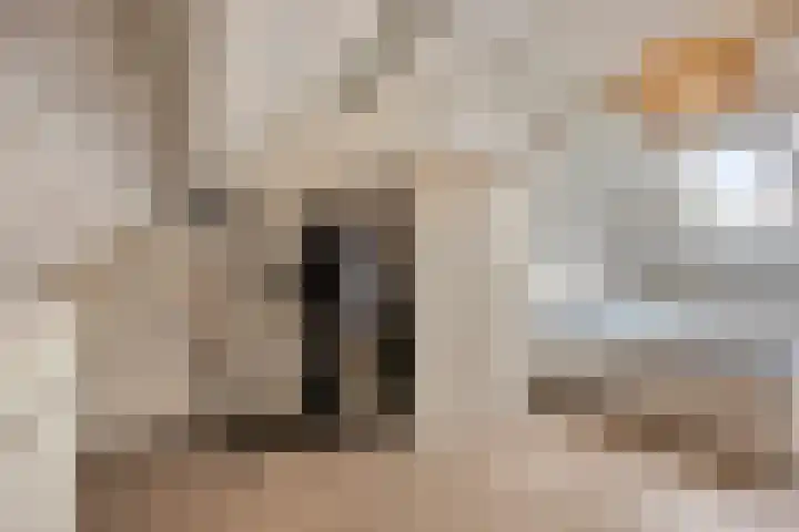 Van Brabantstraat 18 Steenbergen thumbnail 35