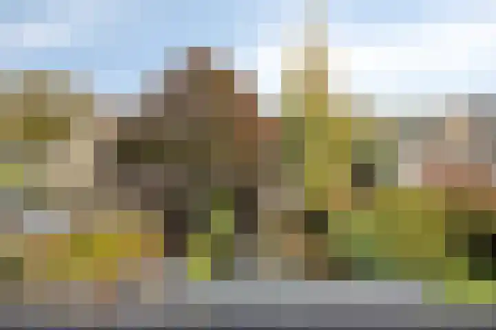 Van Brabantstraat 18 Steenbergen thumbnail 37