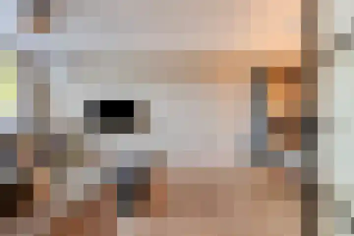 Van Brabantstraat 18 Steenbergen thumbnail 4