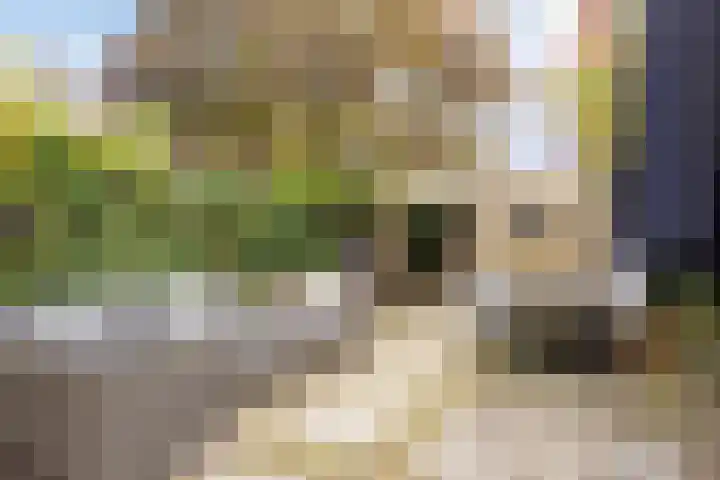Van Brabantstraat 18 Steenbergen thumbnail 41