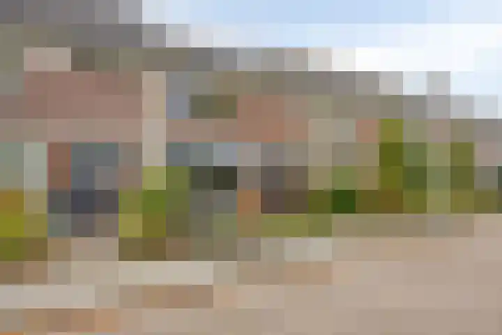 Van Brabantstraat 18 Steenbergen thumbnail 43
