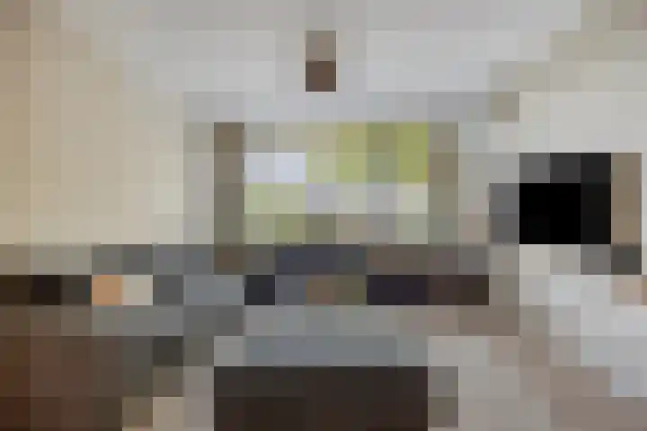 Van Brabantstraat 18 Steenbergen thumbnail 5