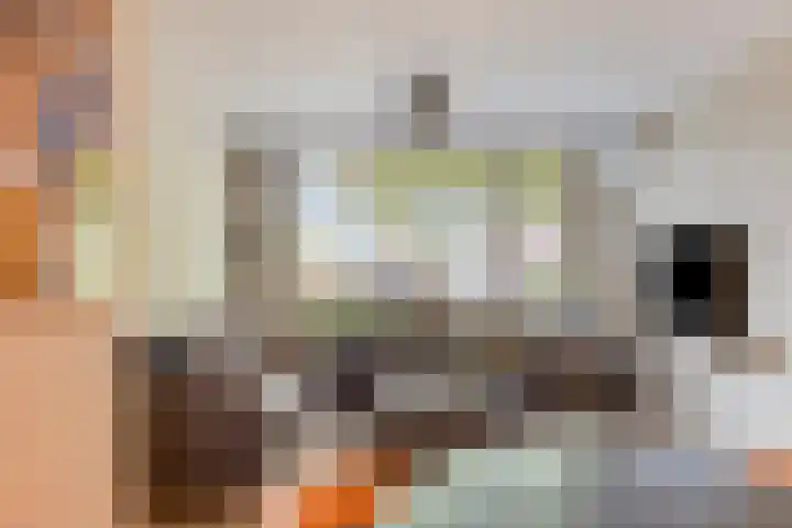 Van Brabantstraat 18 Steenbergen thumbnail 6