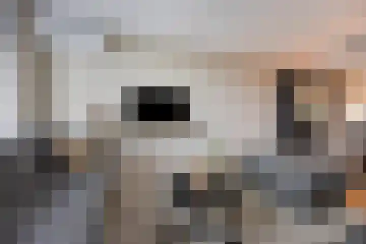 Van Brabantstraat 18 Steenbergen thumbnail 7