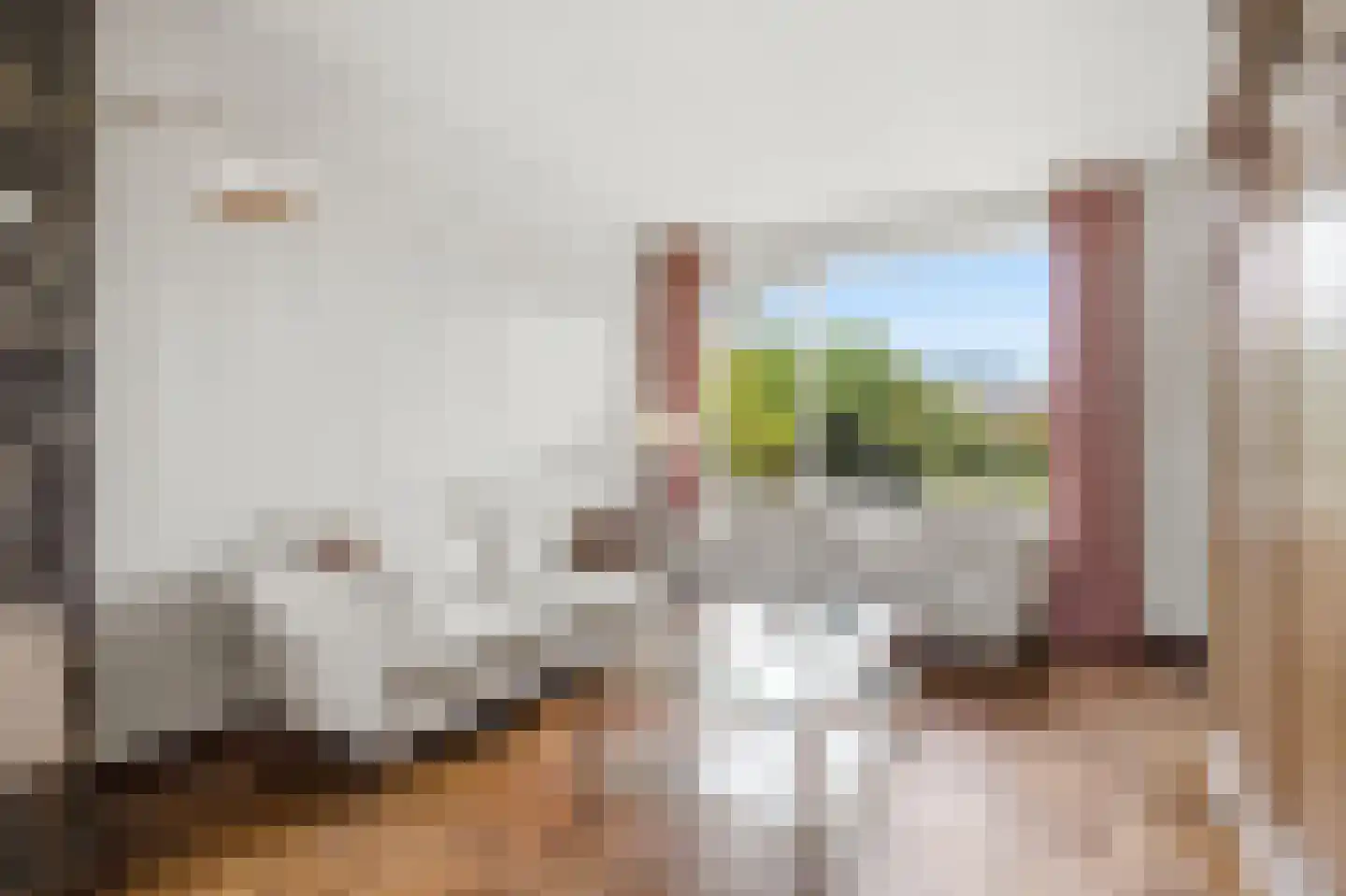Van Brabantstraat 3 Steenbergen thumbnail 10