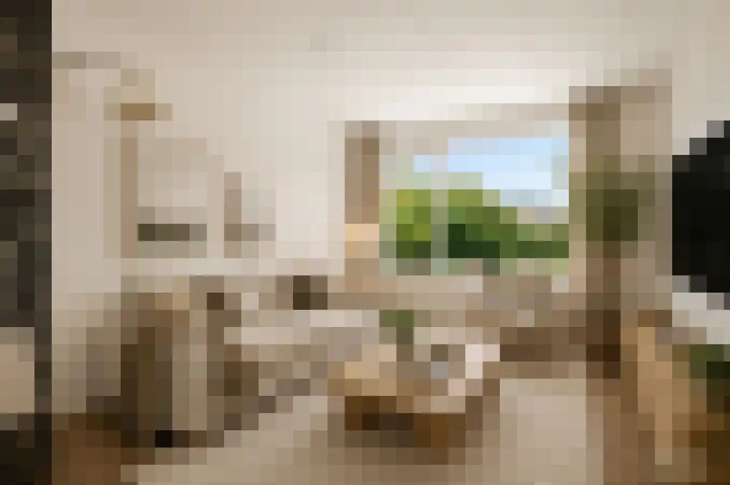 Van Brabantstraat 3 Steenbergen thumbnail 11