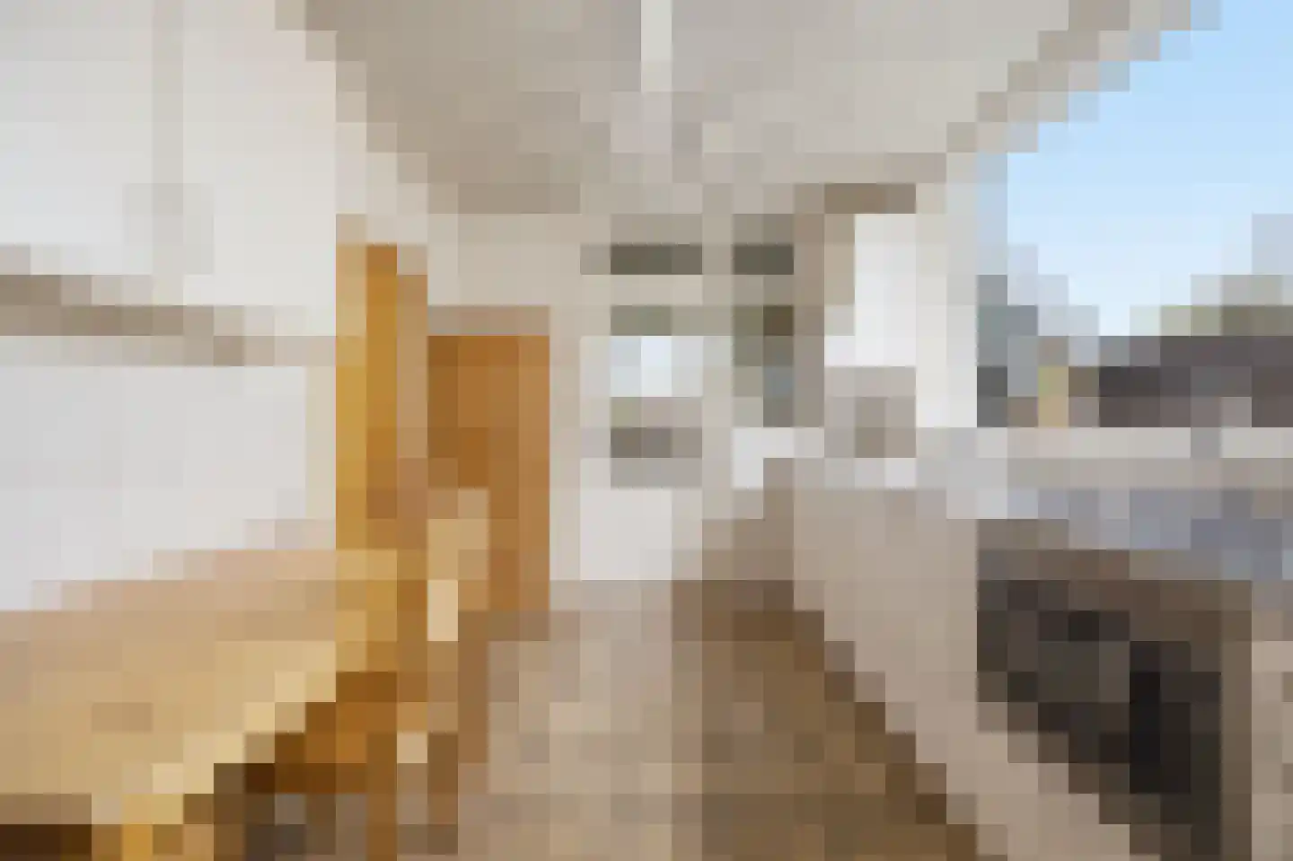 Van Brabantstraat 3 Steenbergen thumbnail 12
