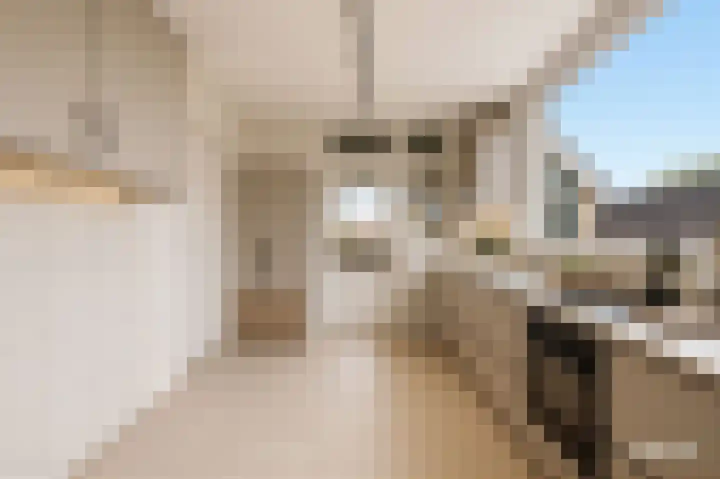 Van Brabantstraat 3 Steenbergen thumbnail 13