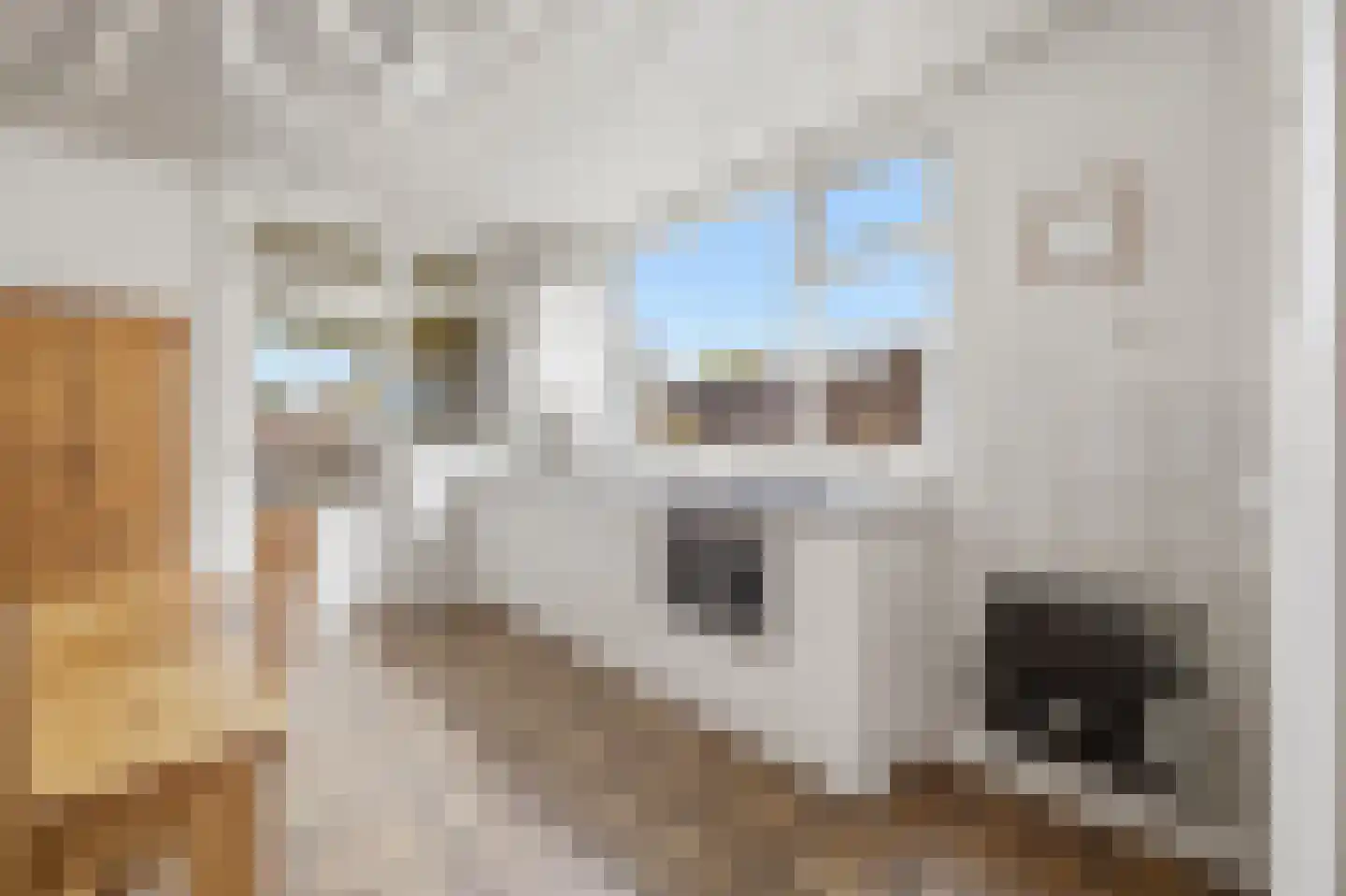 Van Brabantstraat 3 Steenbergen thumbnail 14