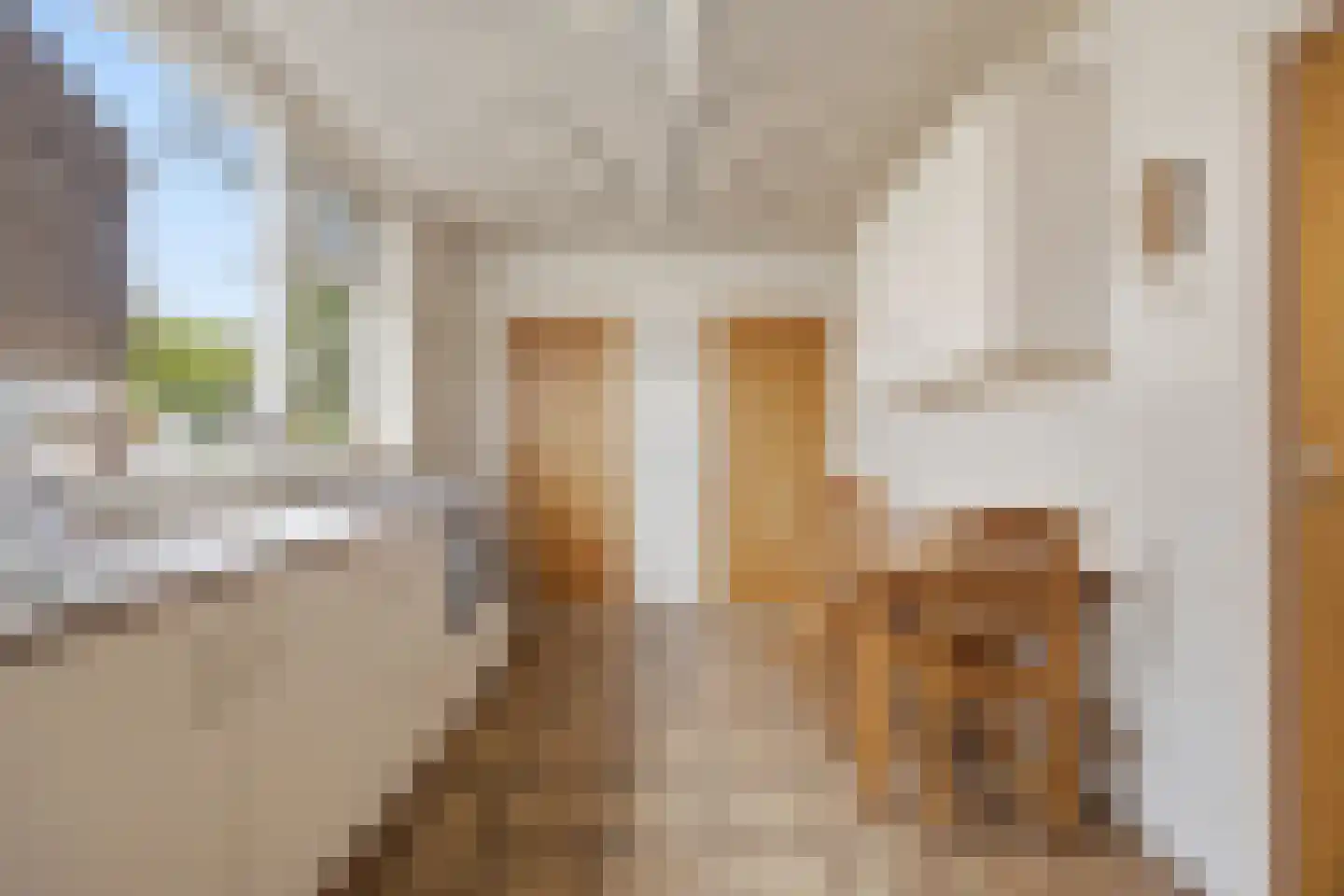 Van Brabantstraat 3 Steenbergen thumbnail 15