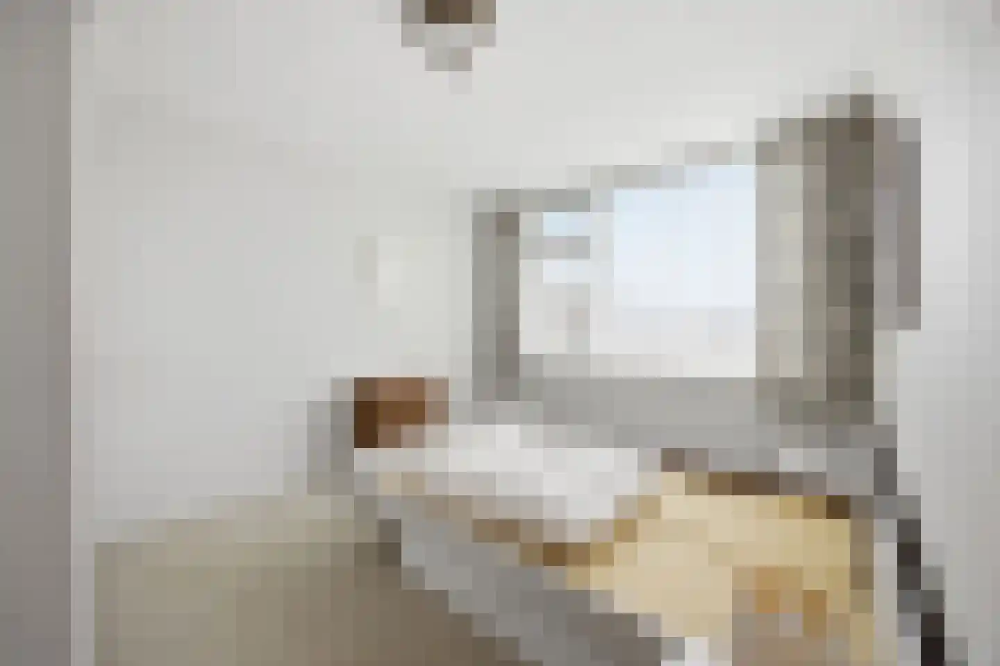 Van Brabantstraat 3 Steenbergen thumbnail 27