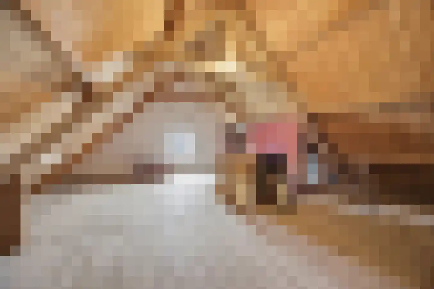 Van Brabantstraat 3 Steenbergen thumbnail 31