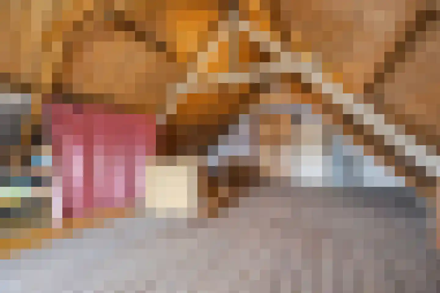 Van Brabantstraat 3 Steenbergen thumbnail 32